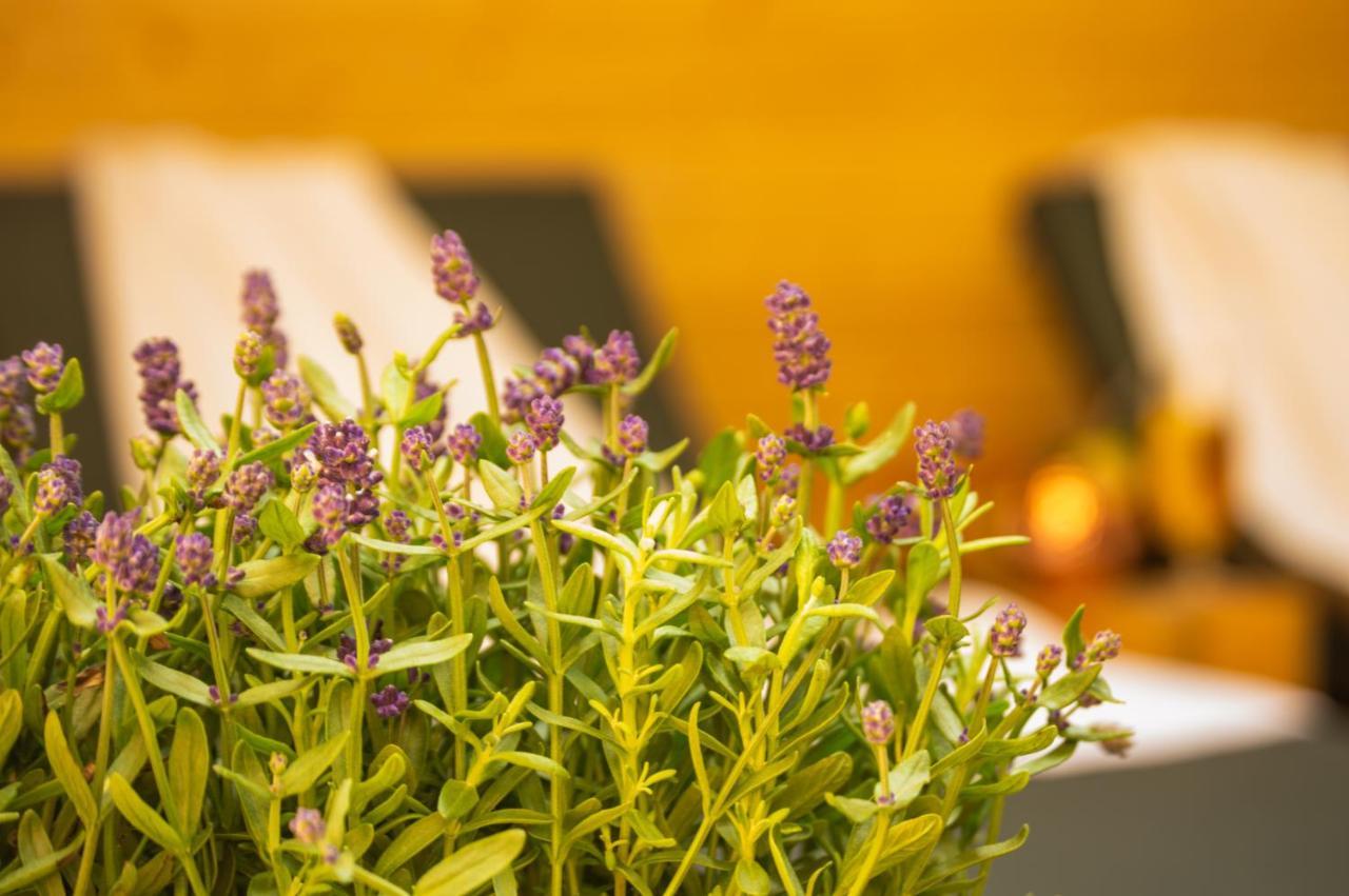 Wellnessoase Mitten In Triberg Триберг Экстерьер фото